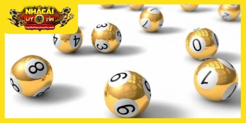 Nuôi khung 3 - 5 ngày nâng cao tỷ lệ trúng